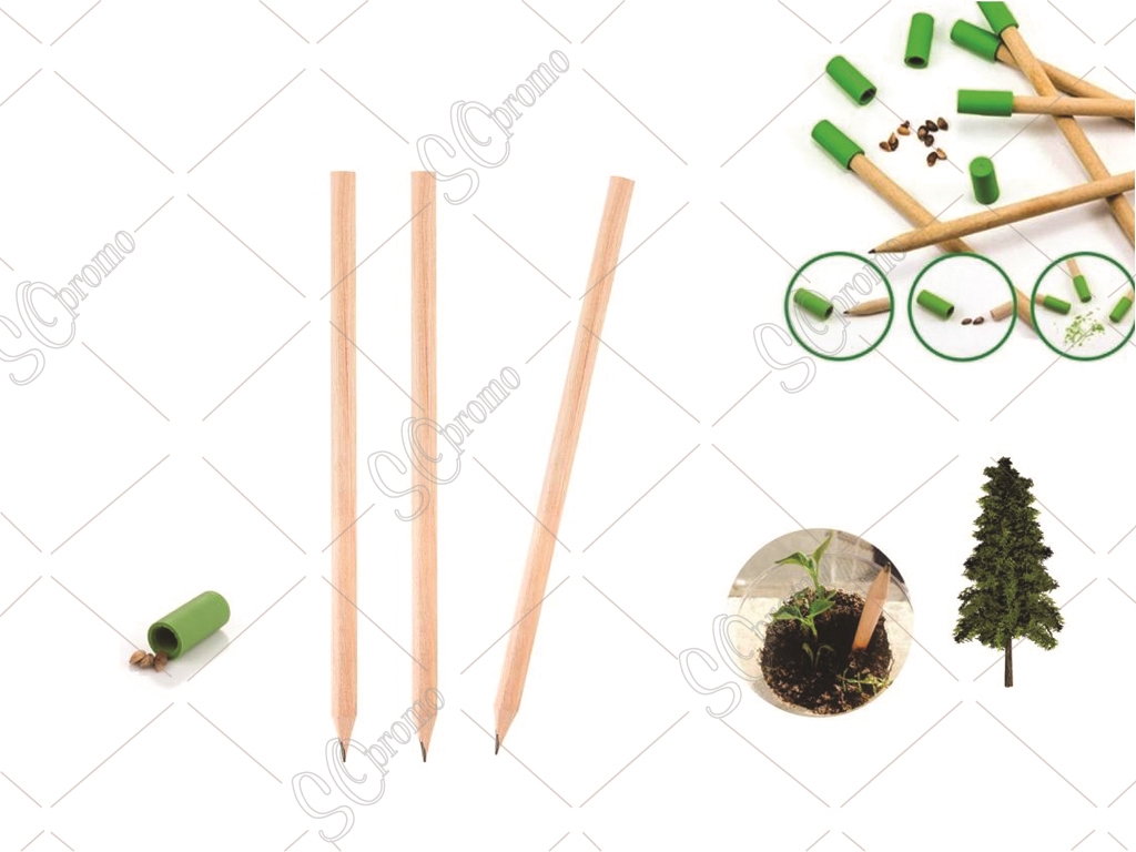 Tohumlu Kurşun Kalem